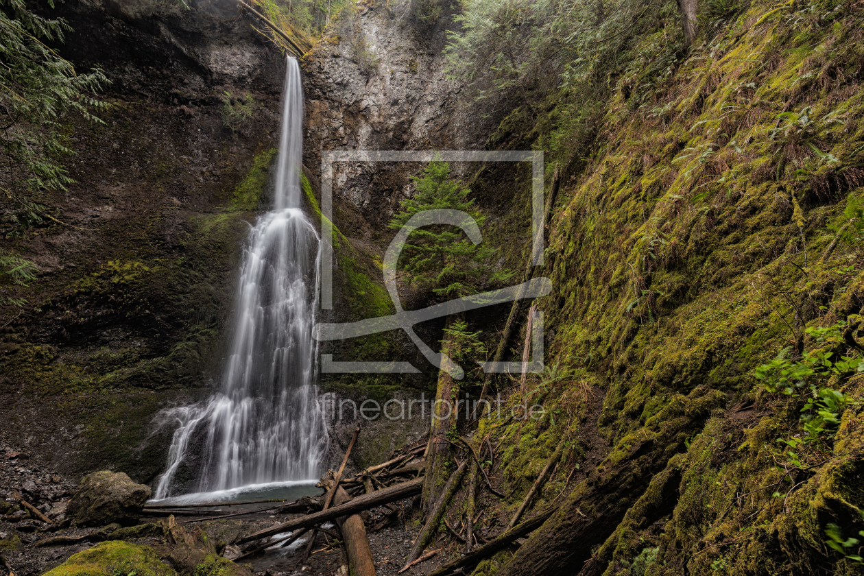 Bild-Nr.: 11474339 Marymere Falls erstellt von TomKli