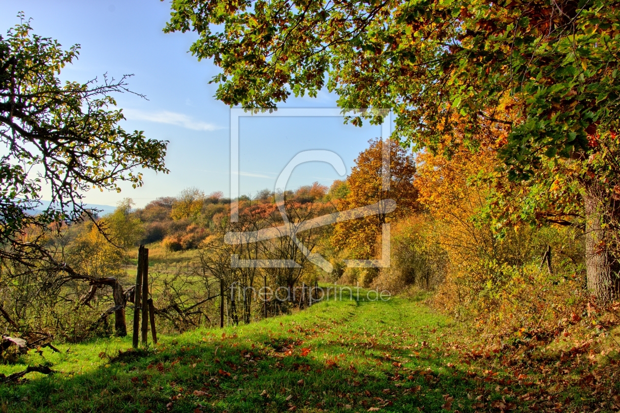 Bild-Nr.: 11475351 Grüner Weg in den Herbst erstellt von RonNi