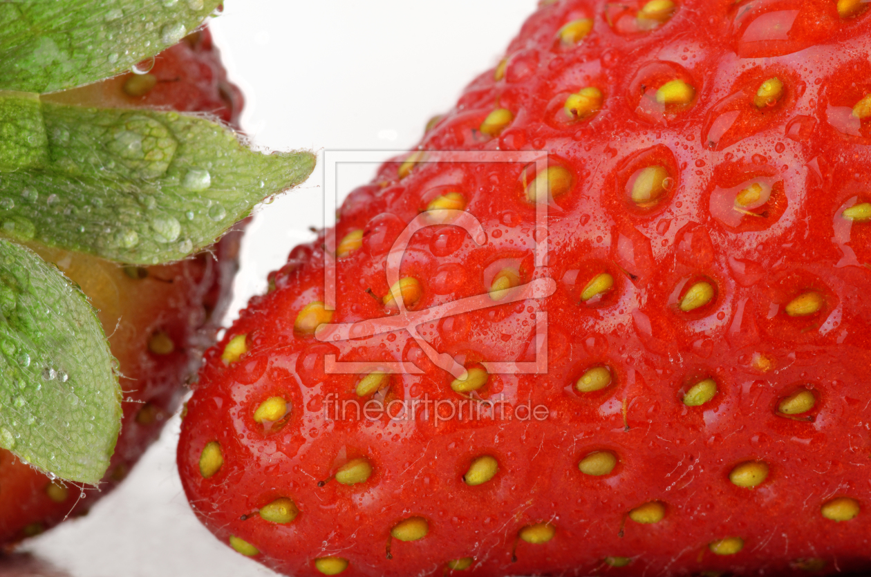 Bild-Nr.: 11477283 Erdbeeren ganz nah erstellt von Rolf Eschbach