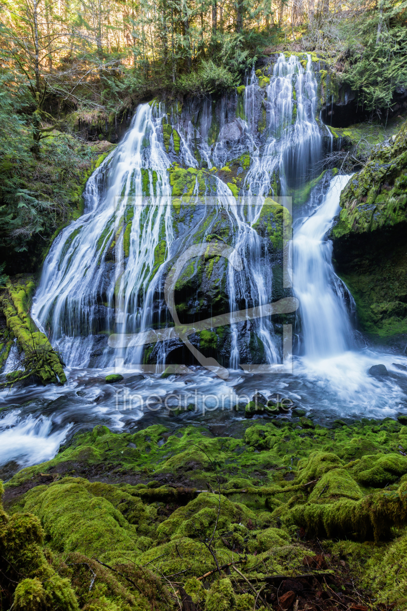 Bild-Nr.: 11477983 Panther Creek Falls erstellt von TomKli