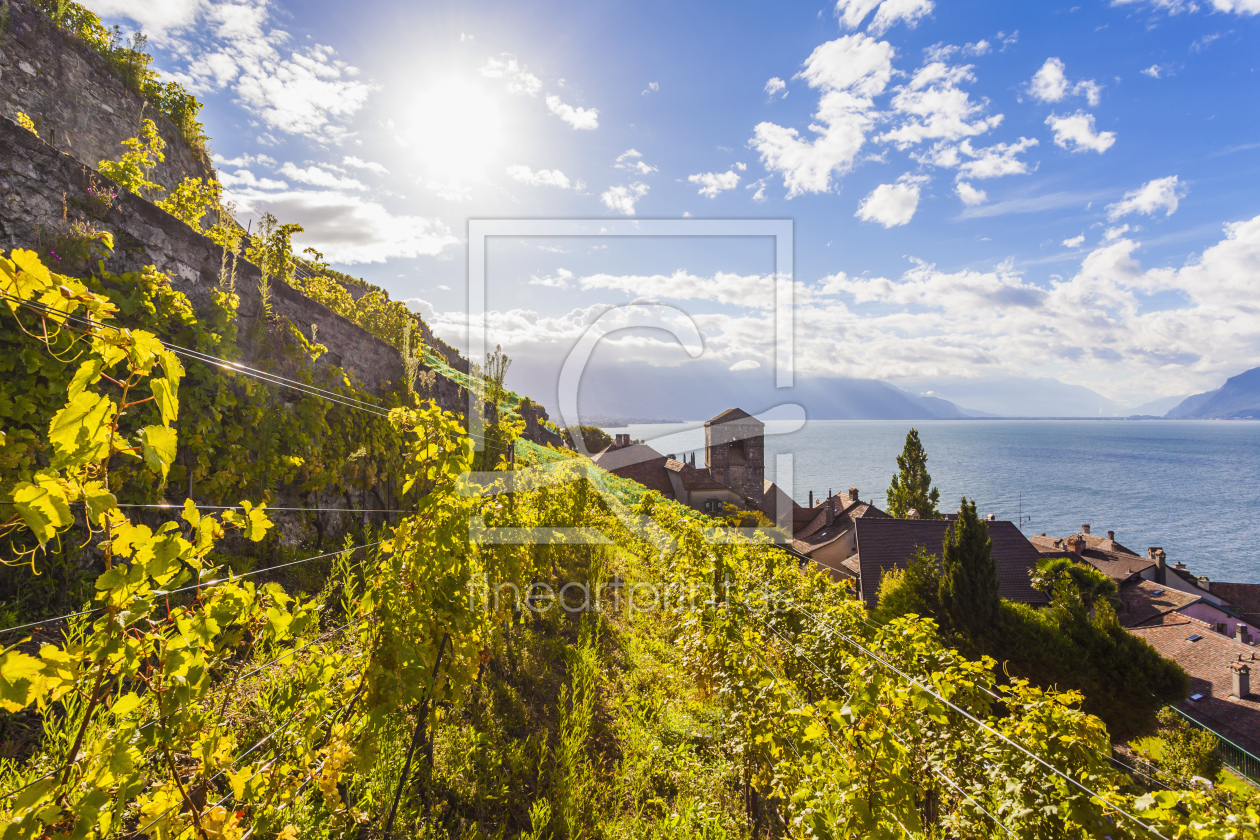 Bild-Nr.: 11478556 ST. SAPHORIN IM LAVAUX, GENFER SEE erstellt von dieterich