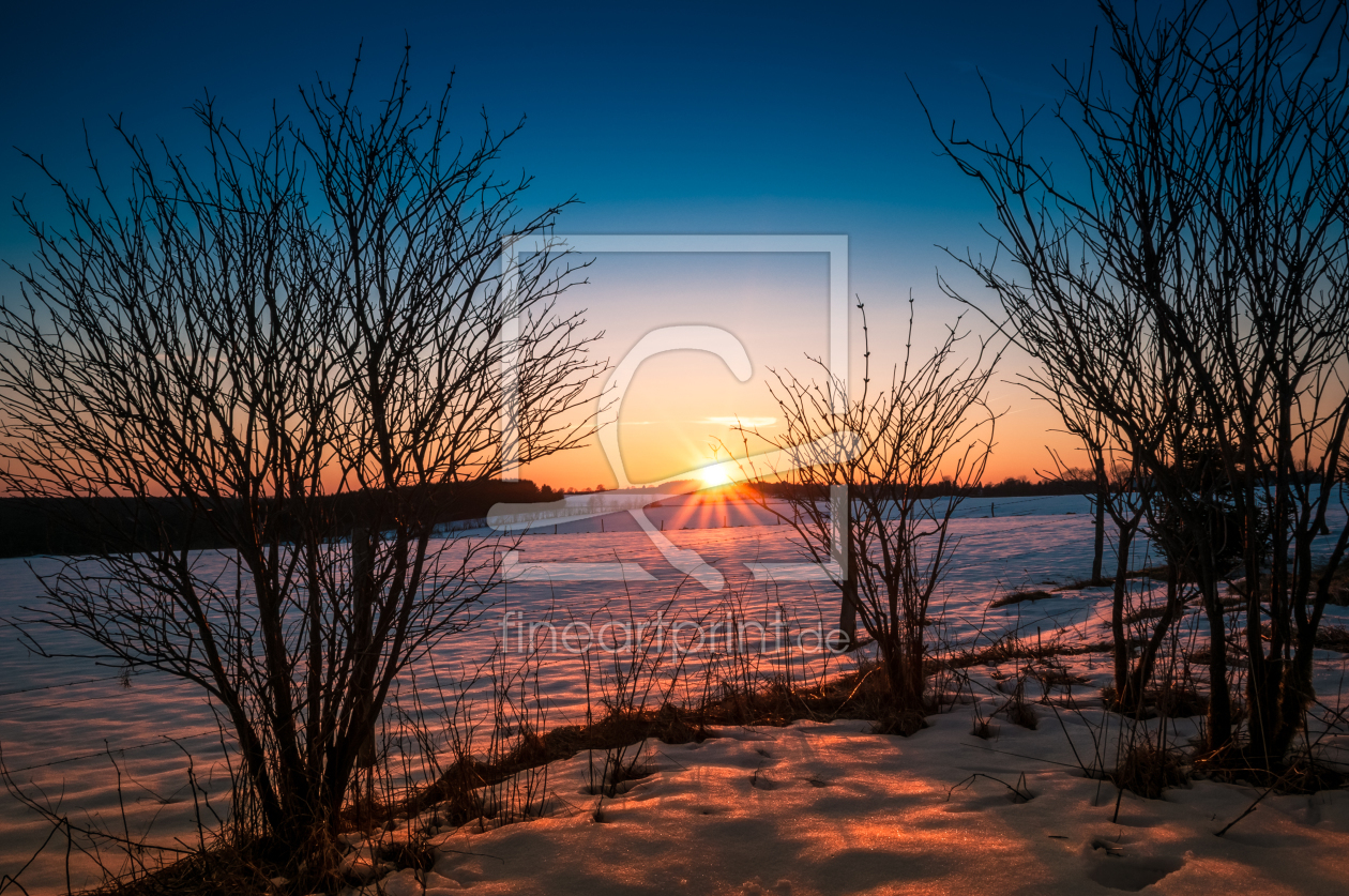 Bild-Nr.: 11478896 Sonne im Harz Bild-Nr.: 11478896 Sonne im Harz erstellt von Steffen Henze