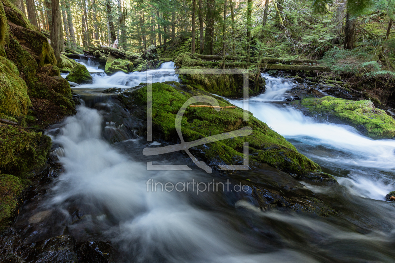 Bild-Nr.: 11478977 Panther Creek erstellt von TomKli