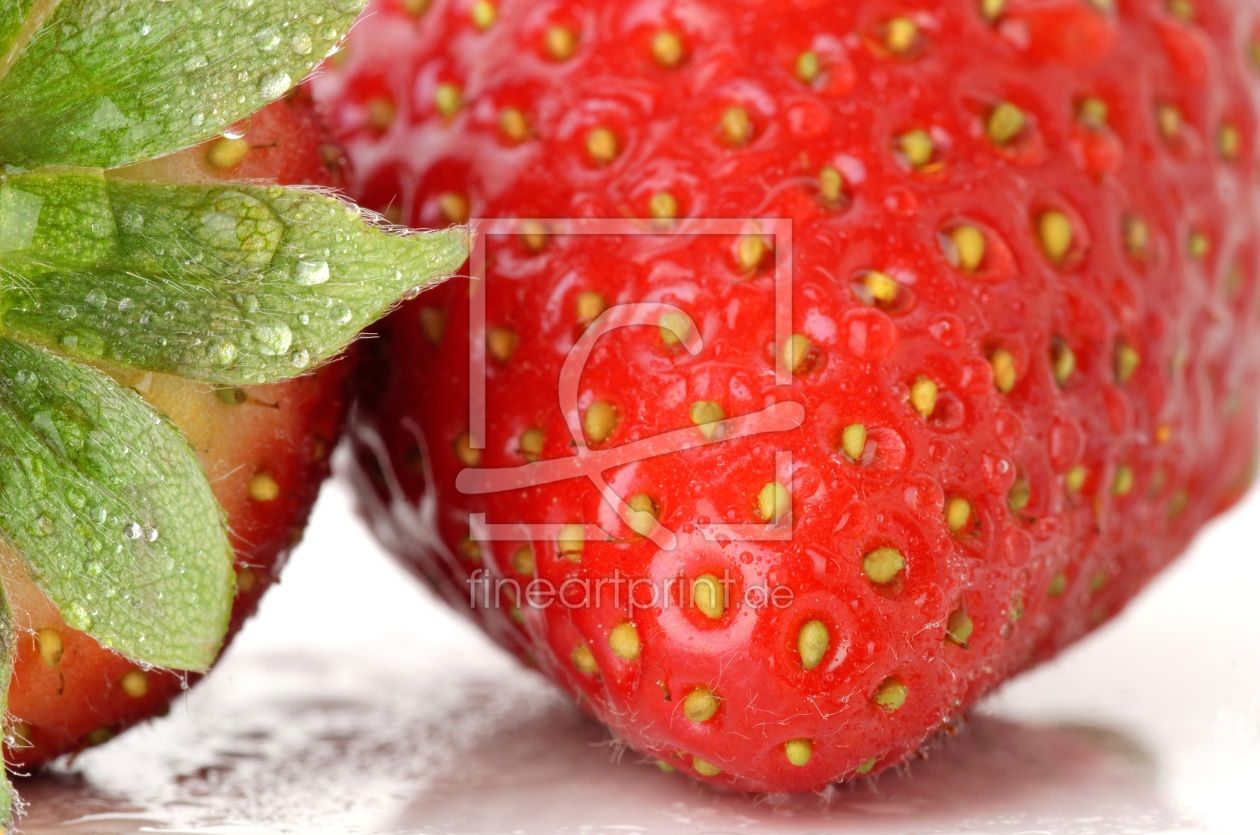 Bild-Nr.: 11481269 Erdbeeren ganz nah Bild-Nr.: 11481269 Erdbeeren ganz nah erstellt von Rolf Eschbach