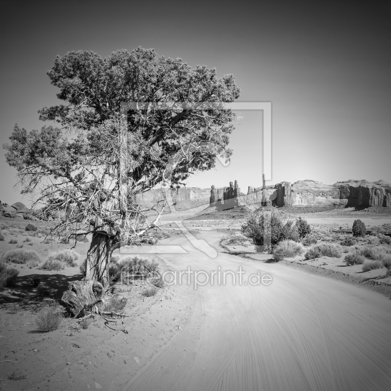 Bild-Nr.: 11485454 Monument Valley Drive und Totem Pole sw  erstellt von Melanie Viola