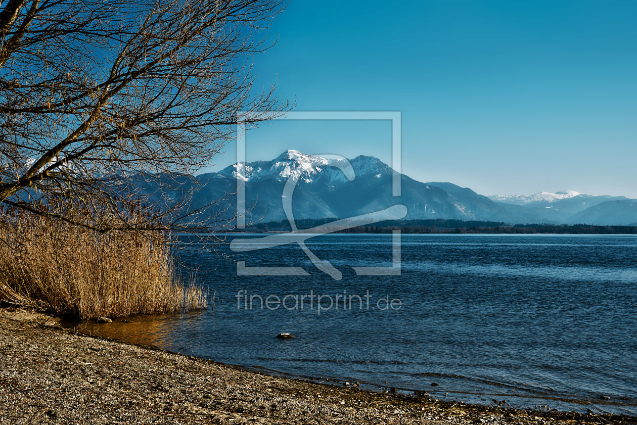 Bild-Nr.: 11485635 Chiemsee - Am Ufer erstellt von manhART