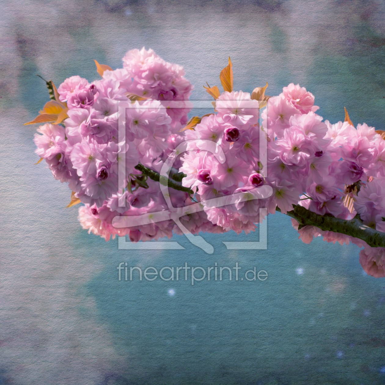 Bild-Nr.: 11486073 Cherry Blossom erstellt von ARTSHOT