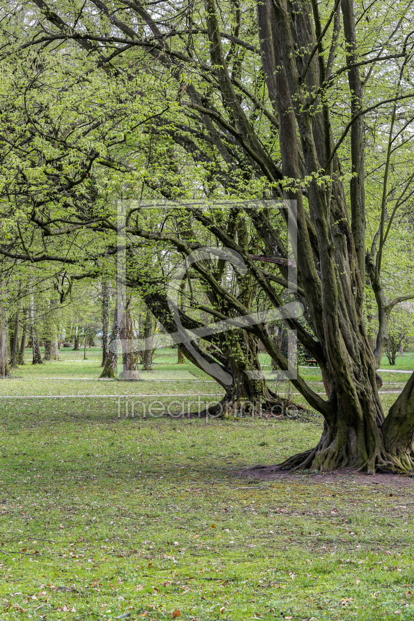 Bild-Nr.: 11486529 Im Park erstellt von TomKli