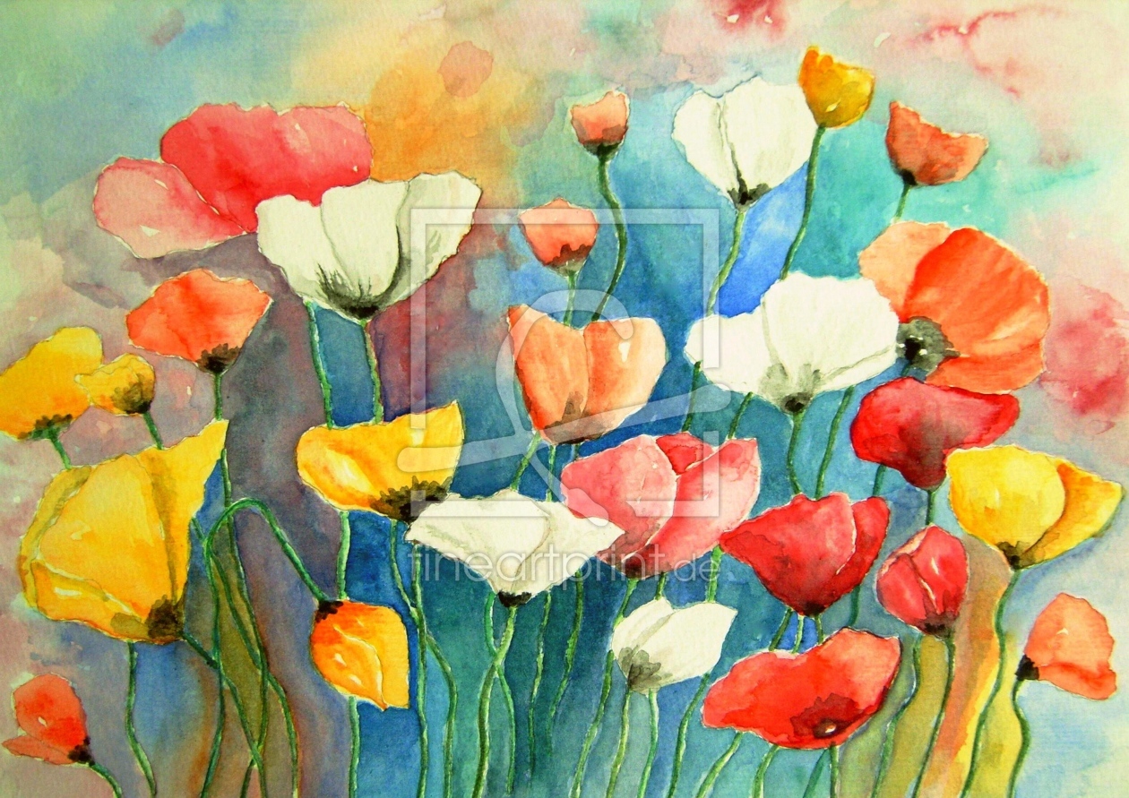 Bild-Nr.: 11487477 Bunter Mohn Aquarell Malerei erstellt von siegfried2838