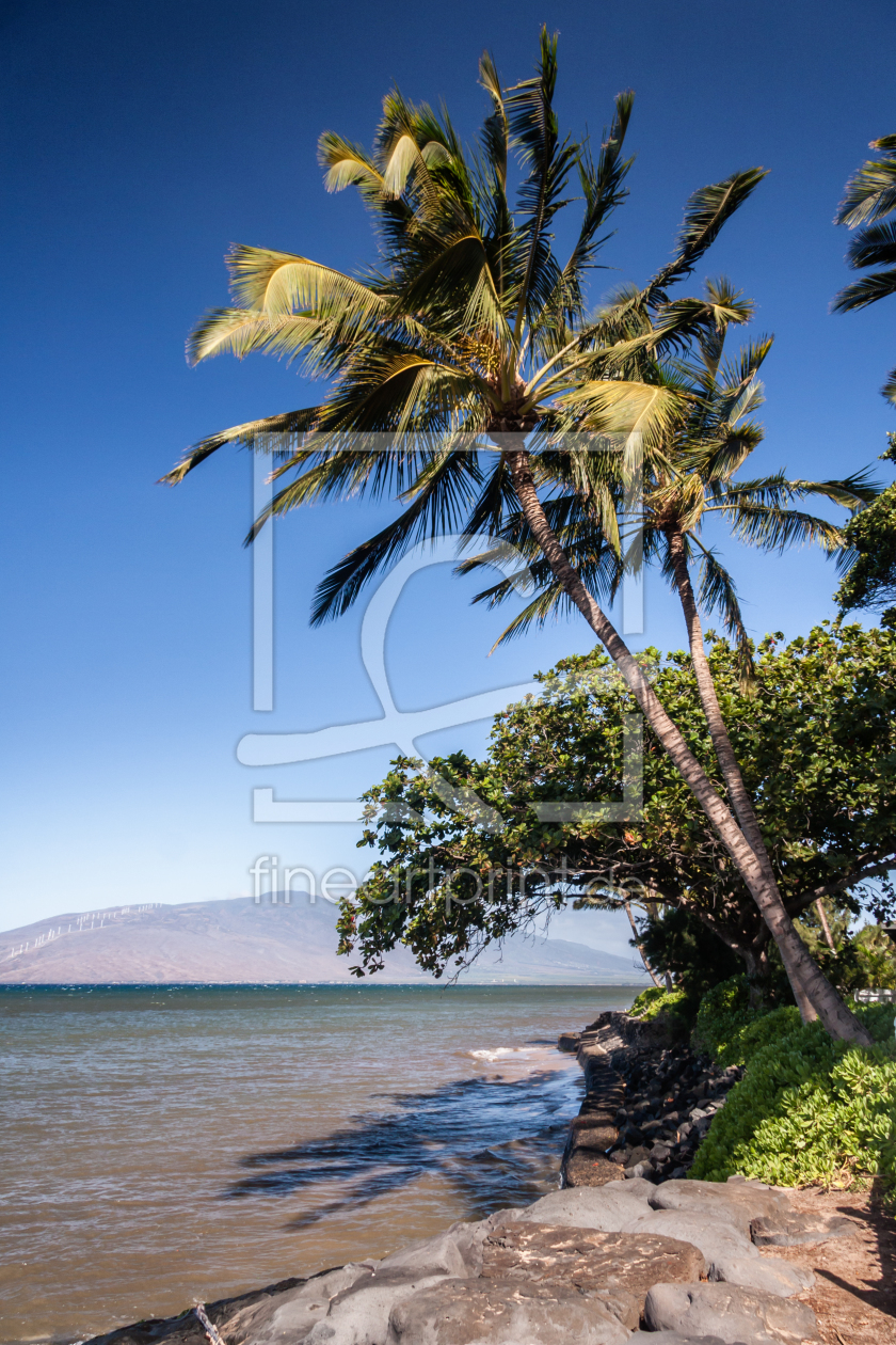 Bild-Nr.: 11487625 Maui erstellt von TomKli