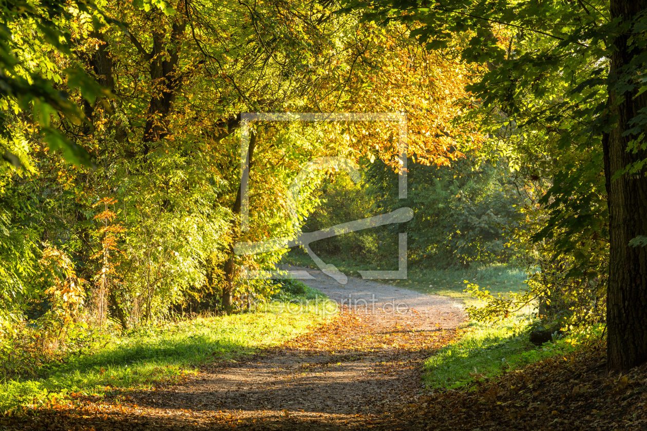 Bild-Nr.: 11488559 Herbstweg erstellt von TomKli