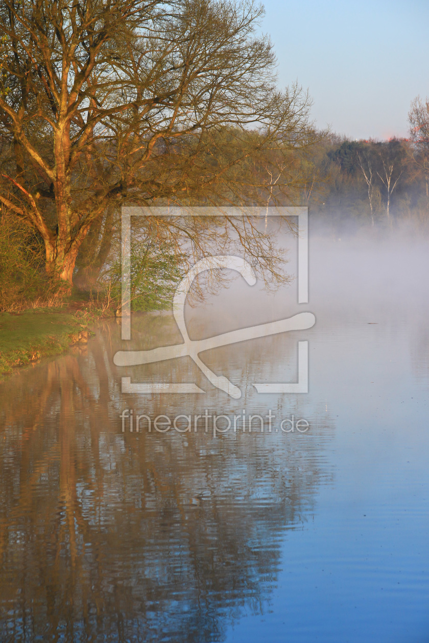 Bild-Nr.: 11488875 Sonnenlicht und Nebel erstellt von falconer59