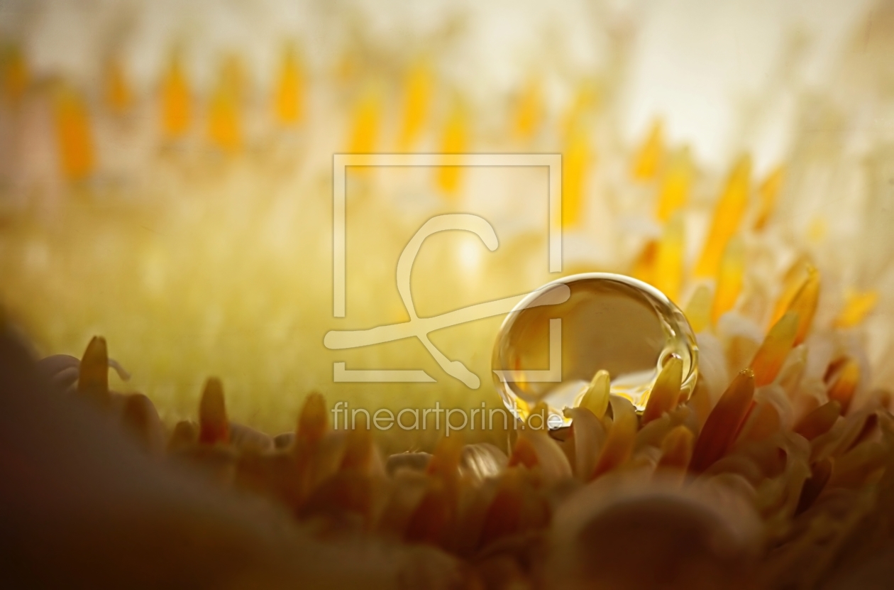 Bild-Nr.: 11491544 Gold erstellt von youhaveadream