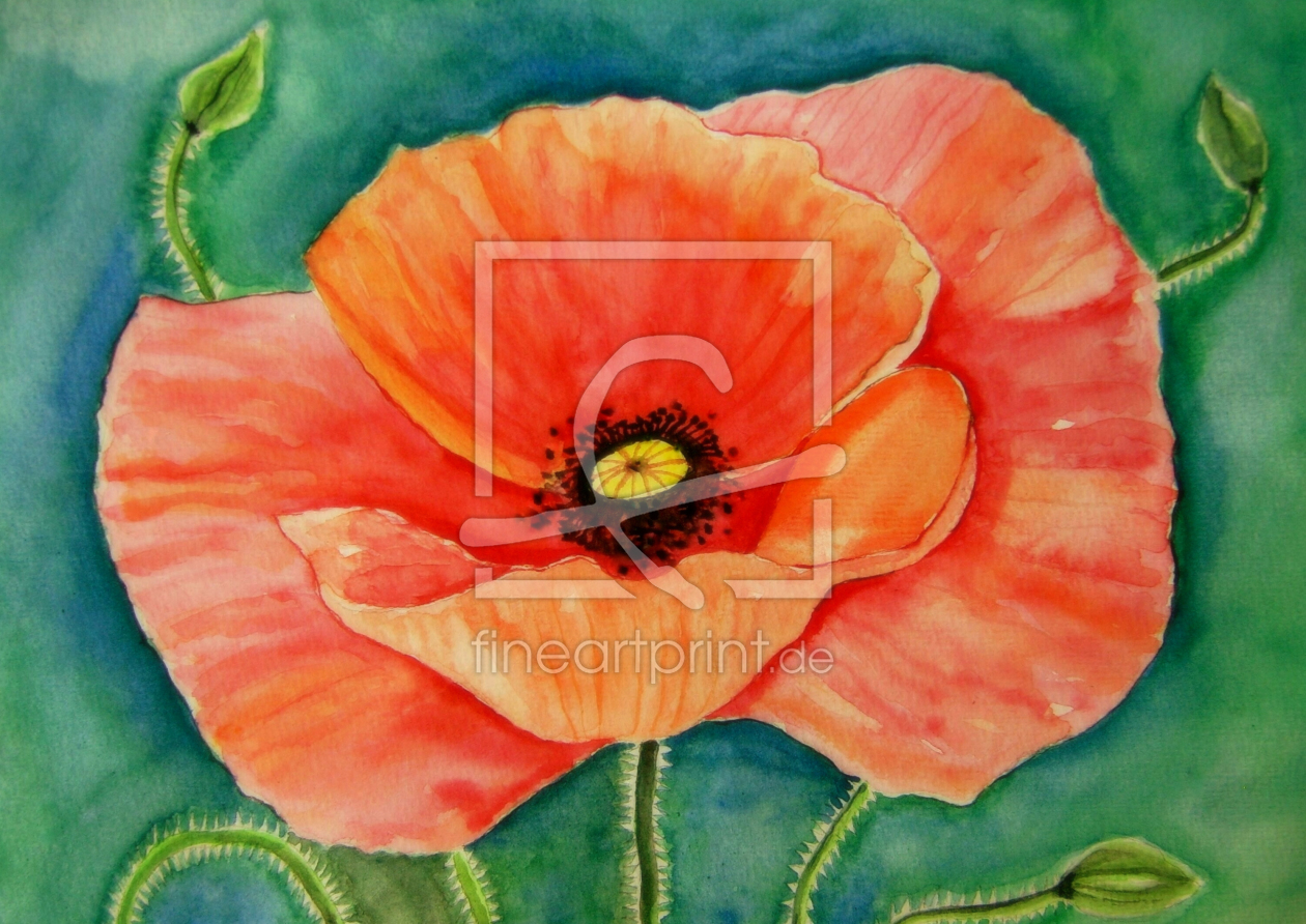 Bild-Nr.: 11495229 Mohn-Blüte Aquarell Malerei erstellt von siegfried2838