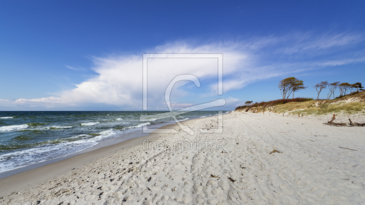 Bild-Nr.: 11496278 Am Weststrand der Sonne entgegen | Darß erstellt von ReichderNatur