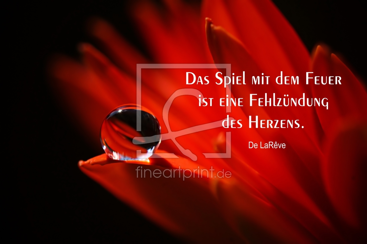 Bild-Nr.: 11496563 My Heart goes wrong erstellt von youhaveadream