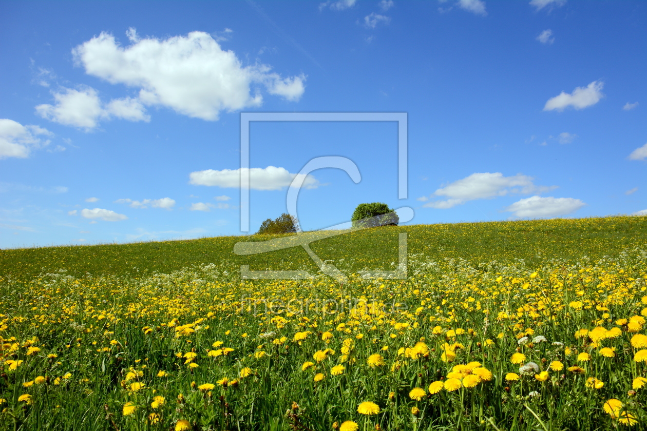 Bild-Nr.: 11497819 FRÜHLING !!! erstellt von GUGIGEI