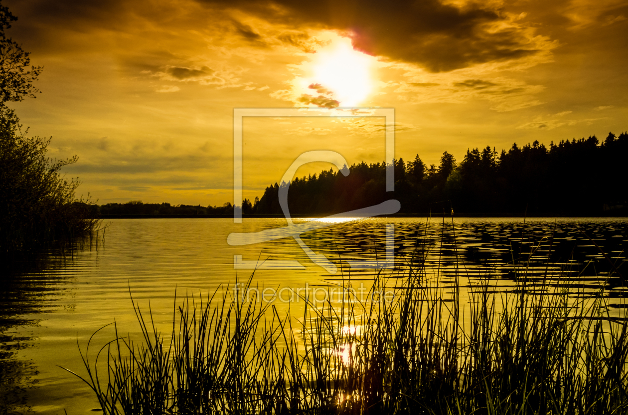 Bild-Nr.: 11498440 Haus Herzberger Teich Bild-Nr.: 11498440 Haus Herzberger Teich erstellt von Steffen Henze