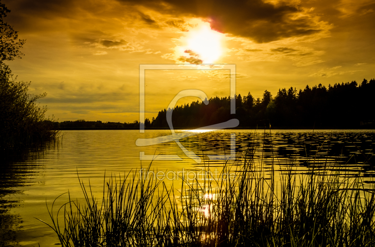 Bild-Nr.: 11498440 Haus Herzberger Teich erstellt von Steffen Henze