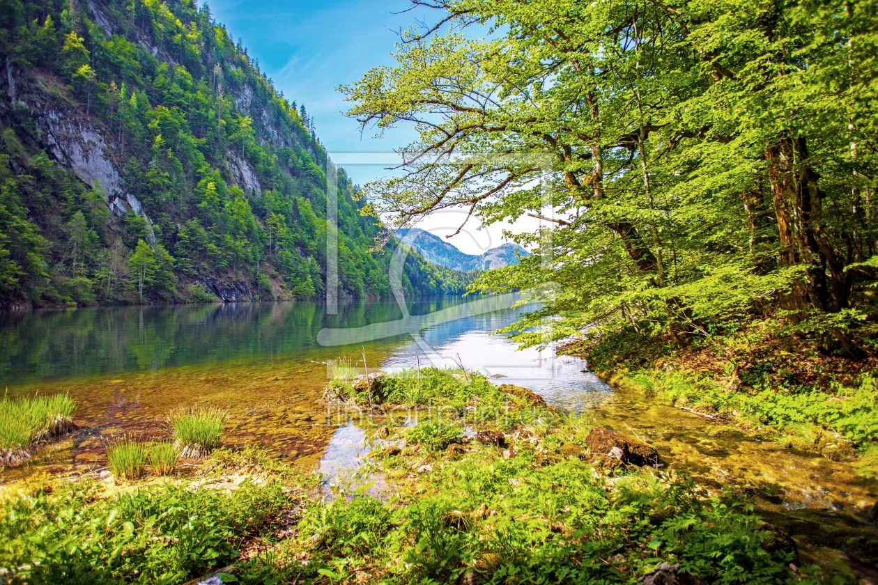 Bild-Nr.: 11499146 Salzkammergut erstellt von wompus