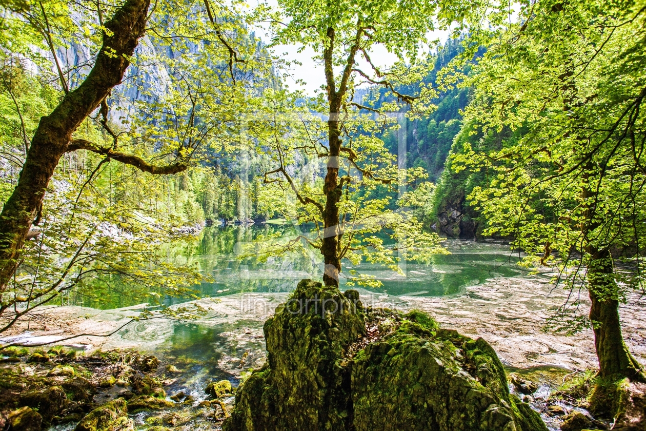 Bild-Nr.: 11499197 Salzkammergut erstellt von wompus