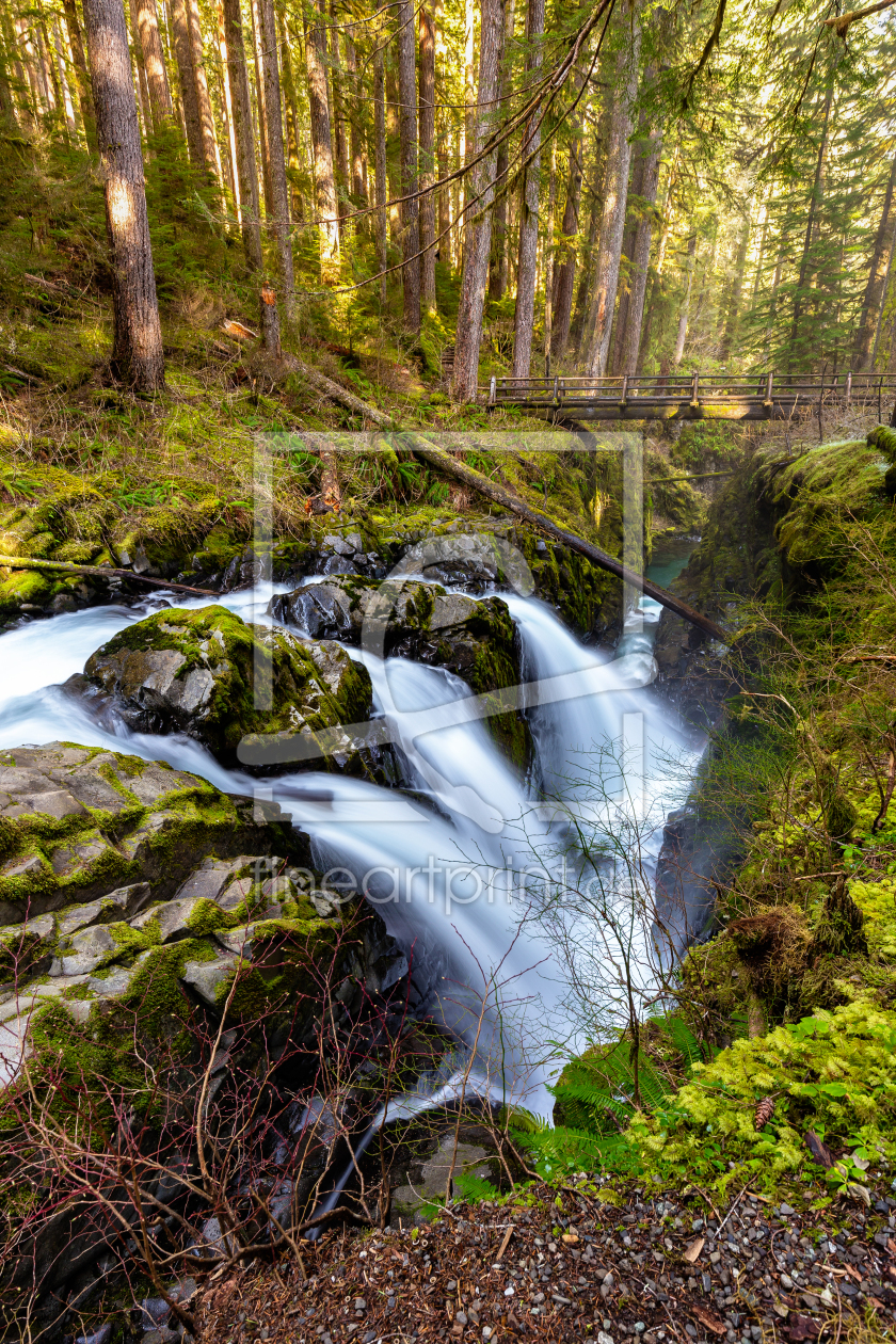 Bild-Nr.: 11499971 Sol Duc Waterfall - Oympic National Park erstellt von TomKli