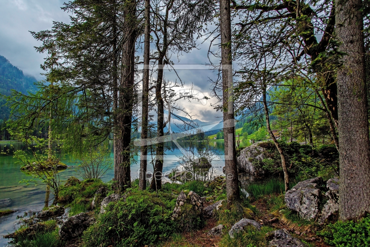 Bild-Nr.: 11501639 Zauberwald am Hintersee erstellt von wompus