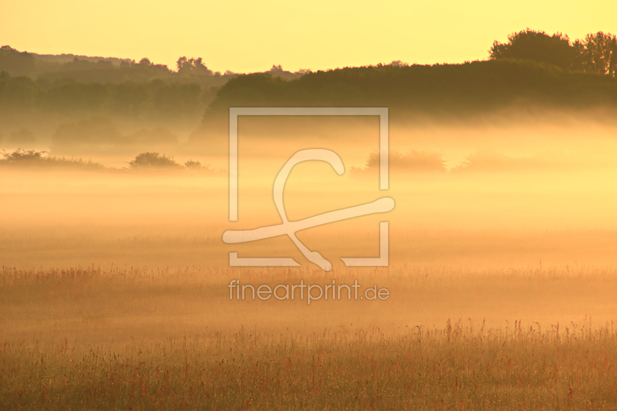 Bild-Nr.: 11503128 Nebel über dem Land erstellt von falconer59