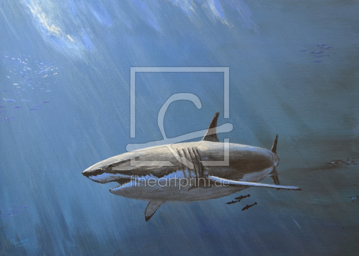 Bild-Nr.: 11503404 White Shark erstellt von SchmidtArt
