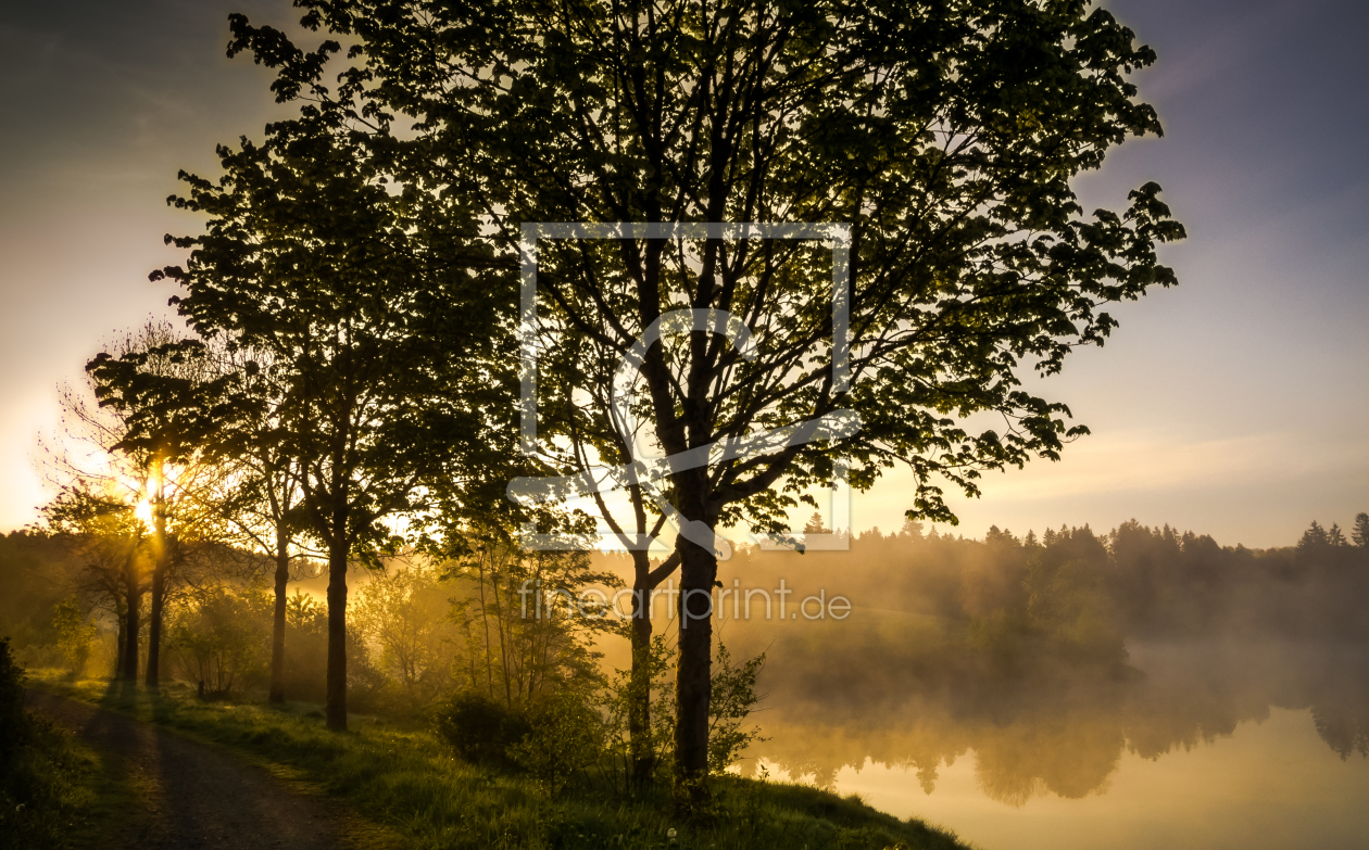 Bild-Nr.: 11504151 Morgens am See erstellt von Steffen Henze