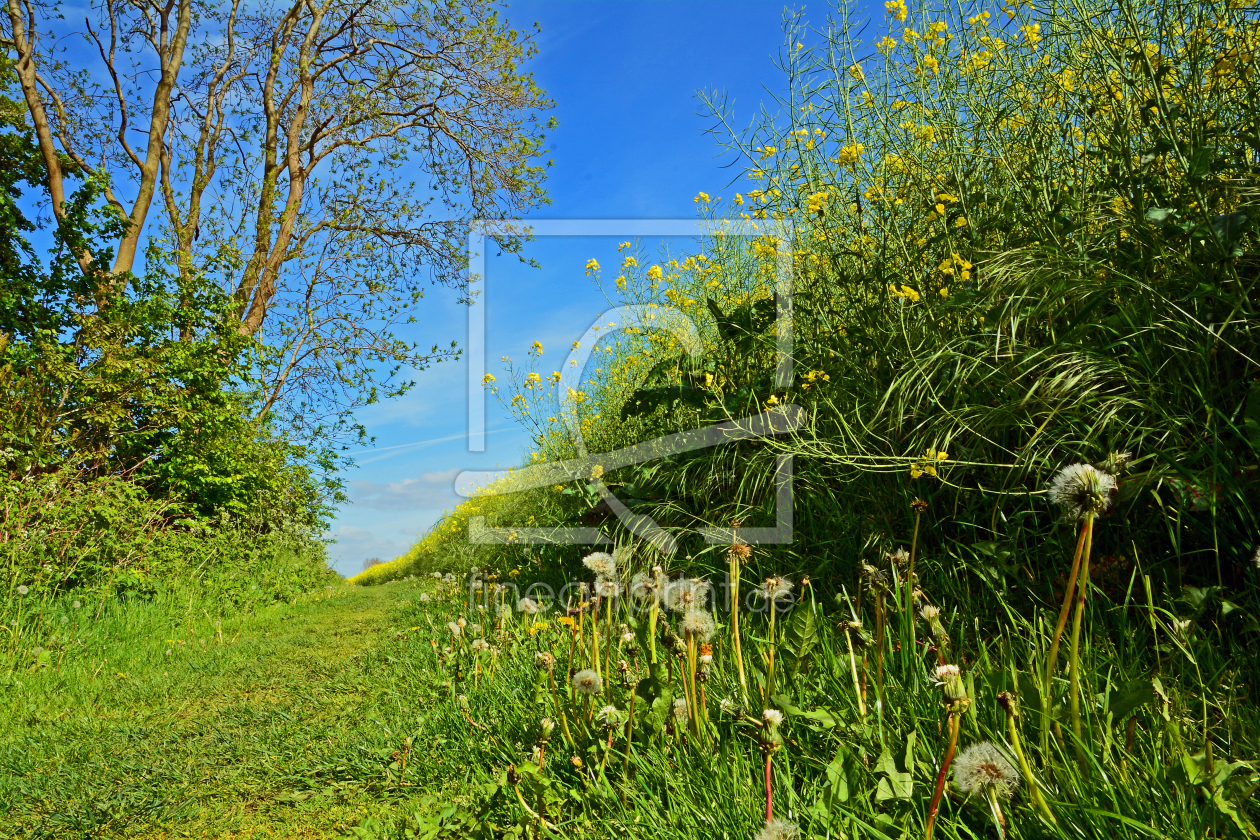 Bild-Nr.: 11504504 Wanderweg erstellt von Ostfriese