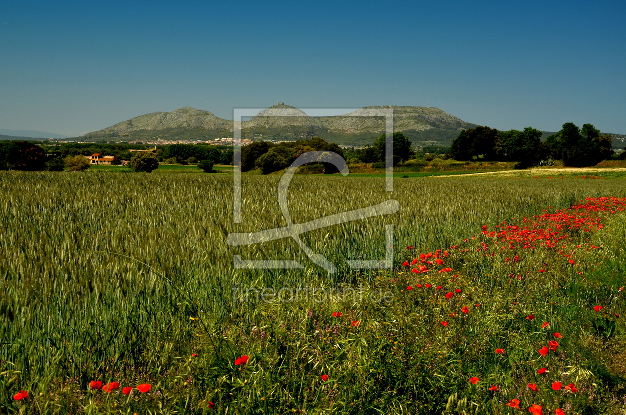 Bild-Nr.: 11504793 Massiv Montgri Torroella Costa Brava Spanien erstellt von I. Heuer