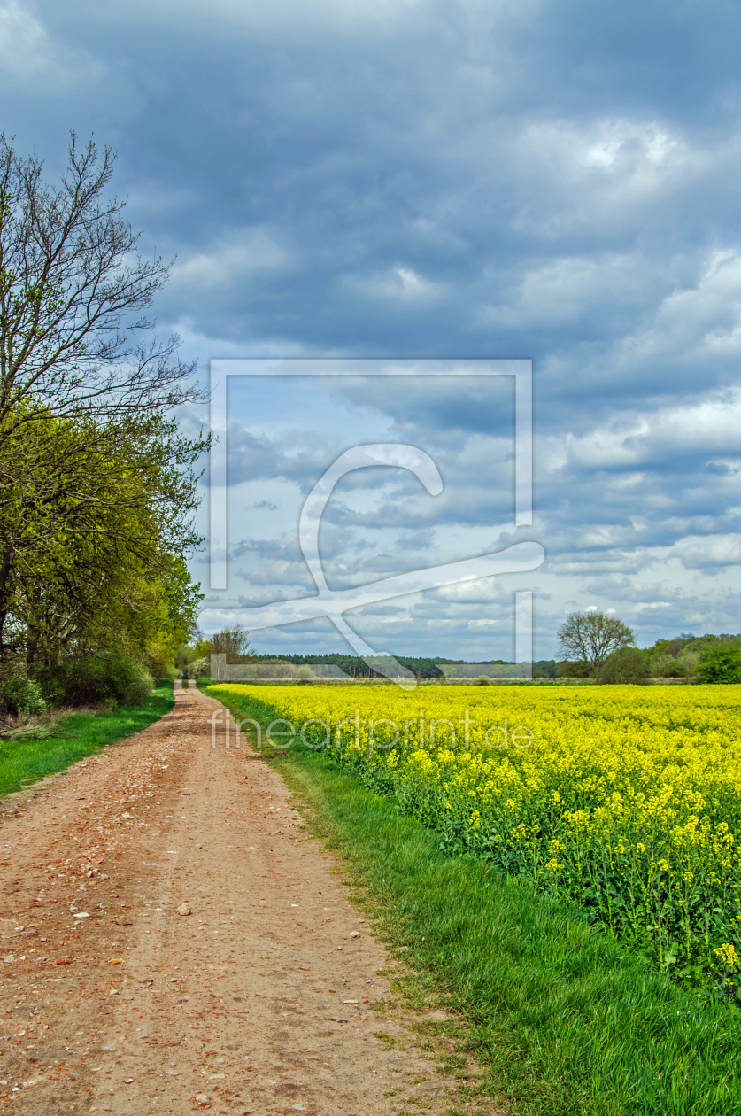 Bild-Nr.: 11505087 Steinweg erstellt von georgfotoart