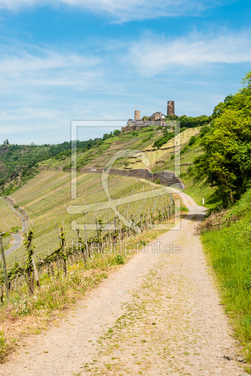 Bild-Nr.: 11507631 Burg Thurant 92 erstellt von Erhard Hess