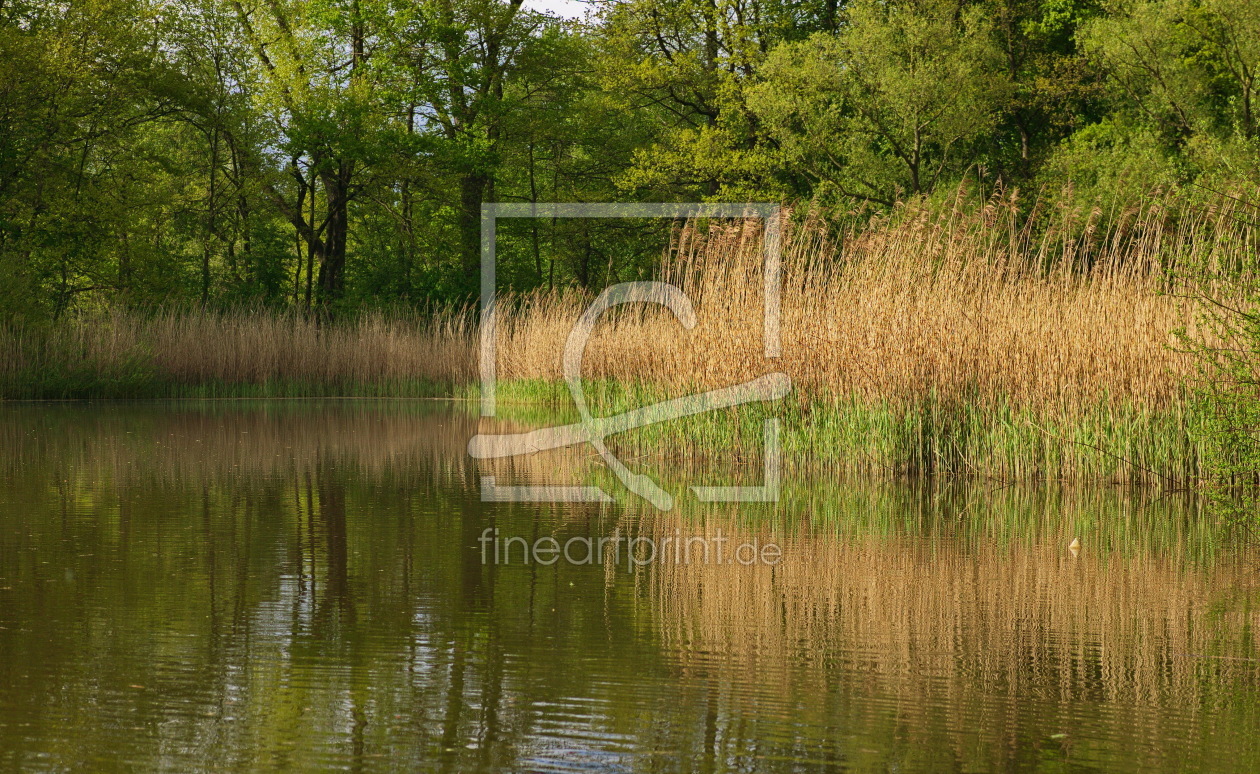 Bild-Nr.: 11510792 Frühlings morgen am Teich erstellt von Wladimir Zarew