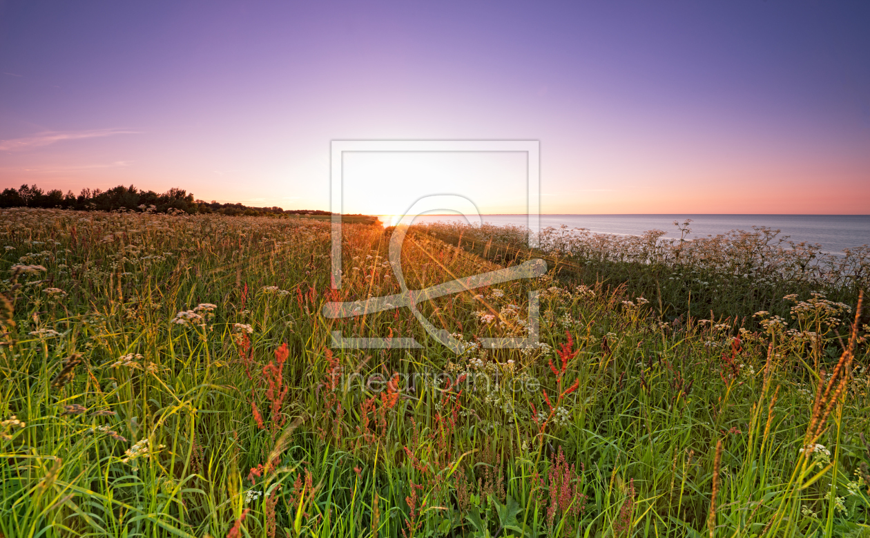 Bild-Nr.: 11511171 Wiesen Sonnenuntergang Bild-Nr.: 11511171 Wiesen Sonnenuntergang erstellt von Nordbilder