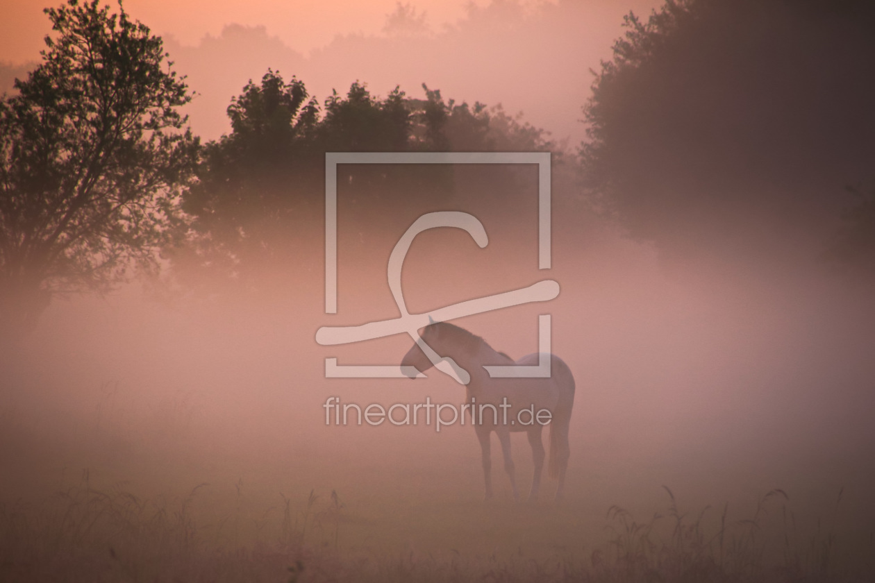 Bild-Nr.: 11511902 Pferd im Nebel erstellt von falconer59