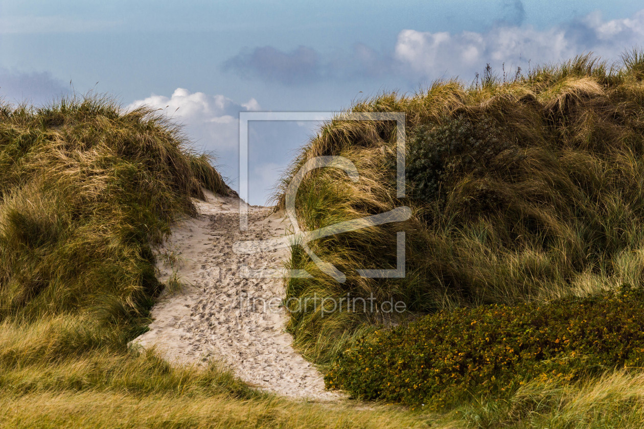 Bild-Nr.: 11512003 to the beach erstellt von Werner-Gruse-Foto