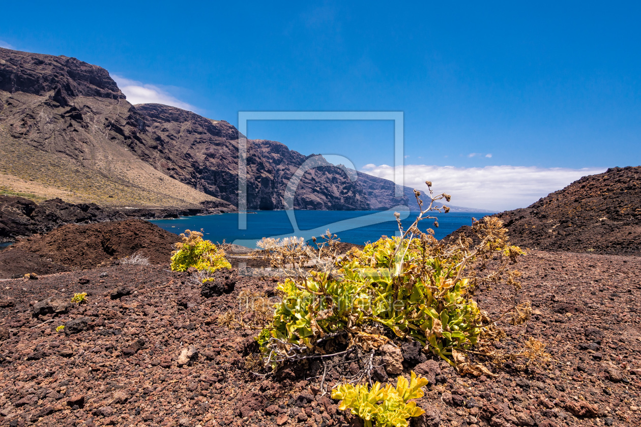 Bild-Nr.: 11515849 Teneriffa erstellt von Rico Ködder