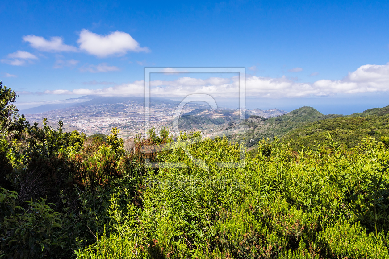 Bild-Nr.: 11516580 Landschaft auf Teneriffa erstellt von Rico Ködder