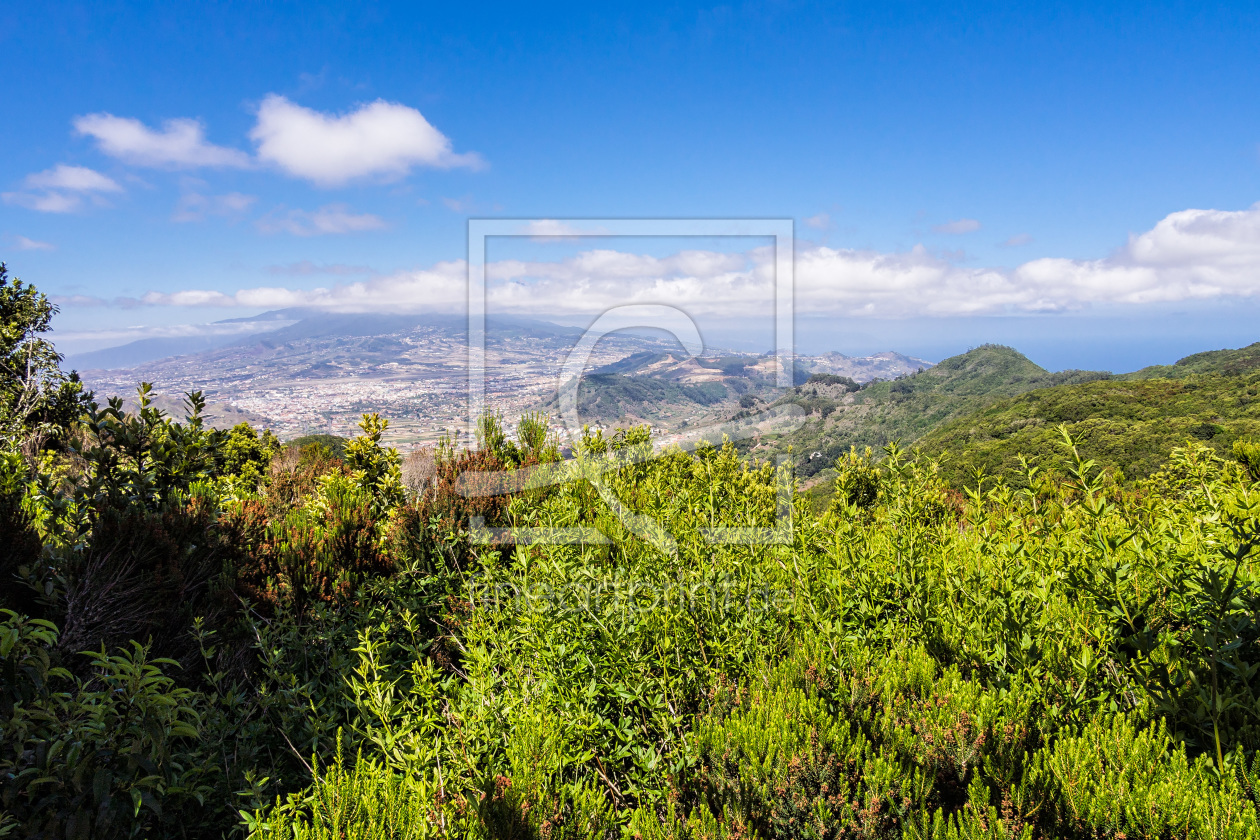 Bild-Nr.: 11516580 Landschaft auf Teneriffa Bild-Nr.: 11516580 Landschaft auf Teneriffa erstellt von Rico Ködder