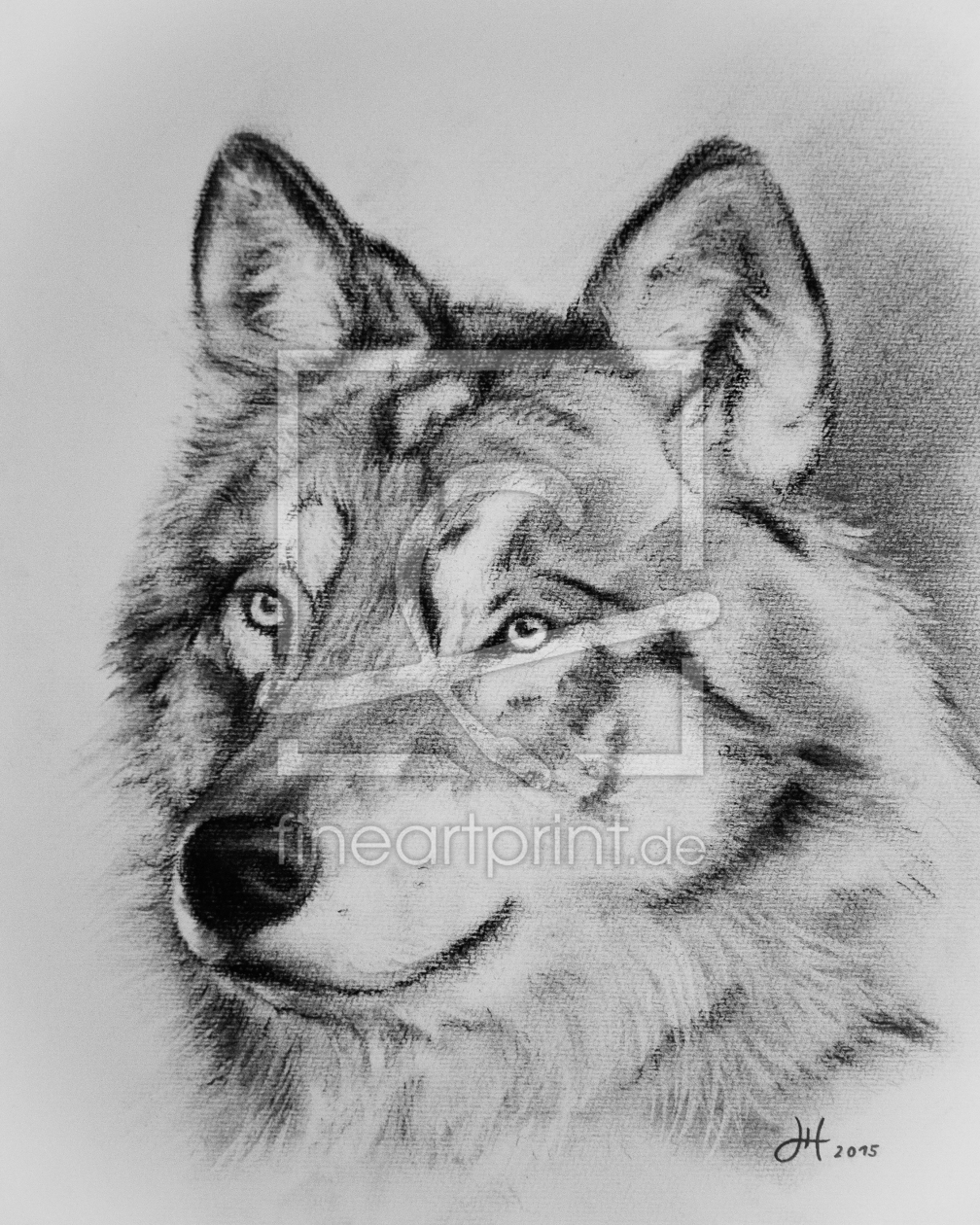 Bild-Nr.: 11517590 Wolf erstellt von HH-Portrait