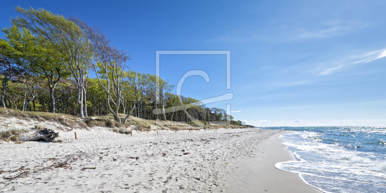 Bild-Nr.: 11517690 Immer der Sonne nach | Ostsee erstellt von ReichderNatur