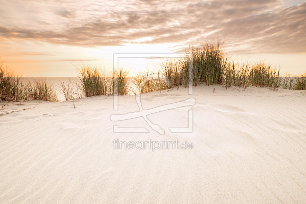 Bild-Nr.: 11519243 Dünenlicht Sylt Bild-Nr.: 11519243 Dünenlicht Sylt erstellt von Nordbilder