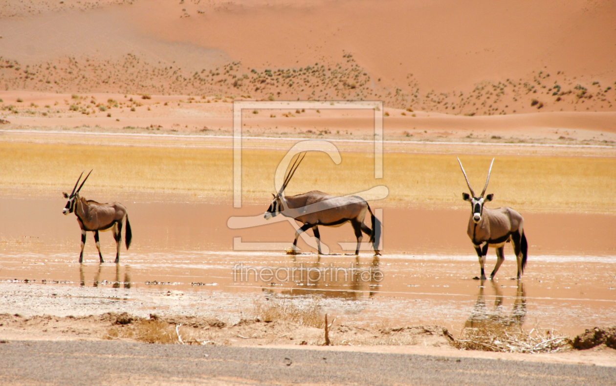 Bild-Nr.: 11520857 Wassertreten erstellt von poncha