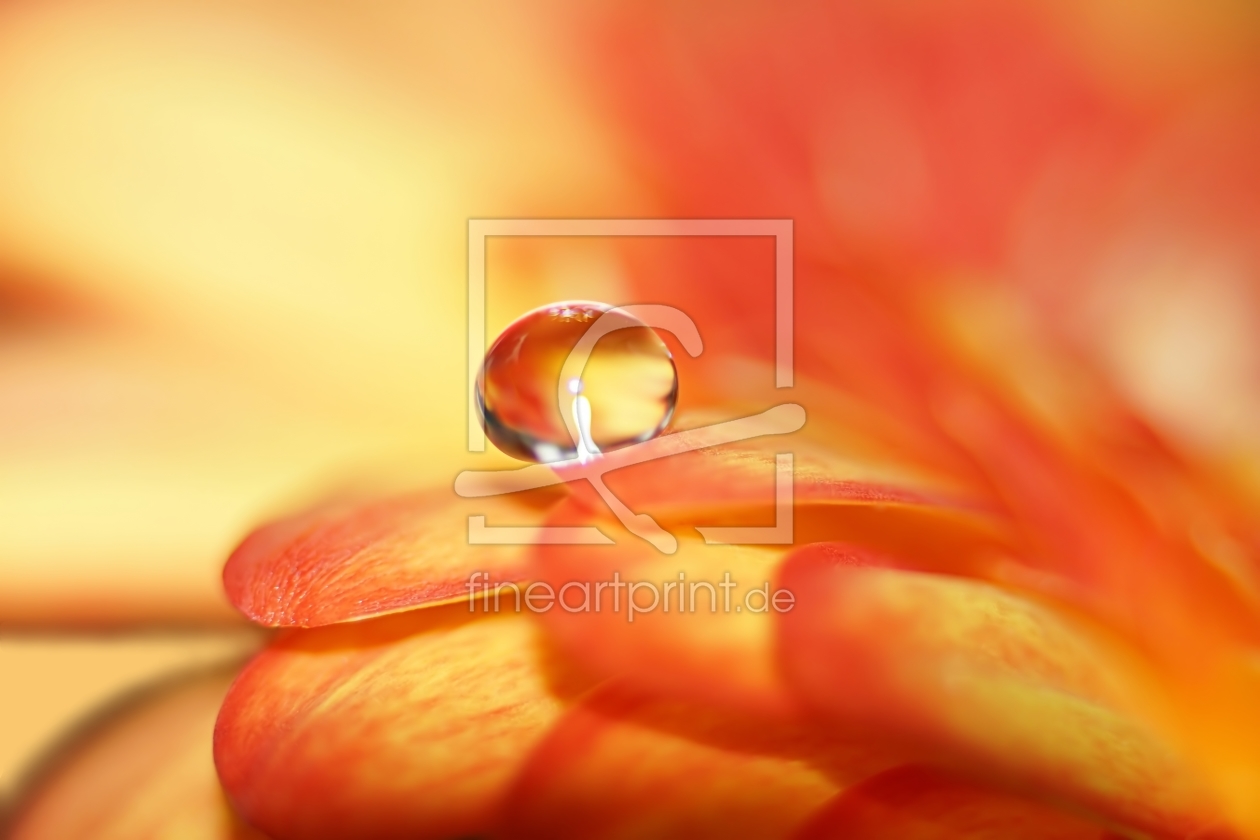 Bild-Nr.: 11522559 Man in drop Bild-Nr.: 11522559 Man in drop erstellt von youhaveadream