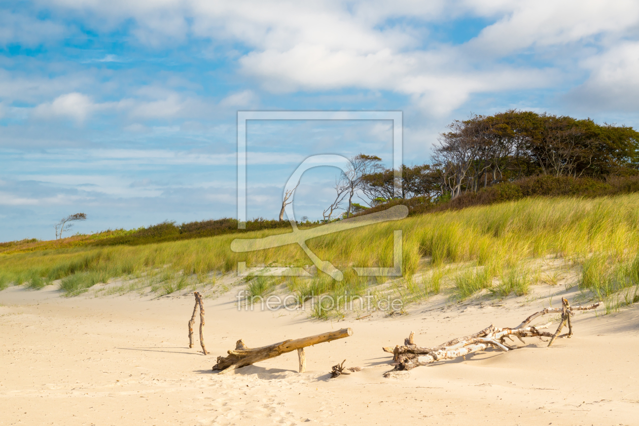 Bild-Nr.: 11526228 Darß - am Weststrand erstellt von Reiner Würz