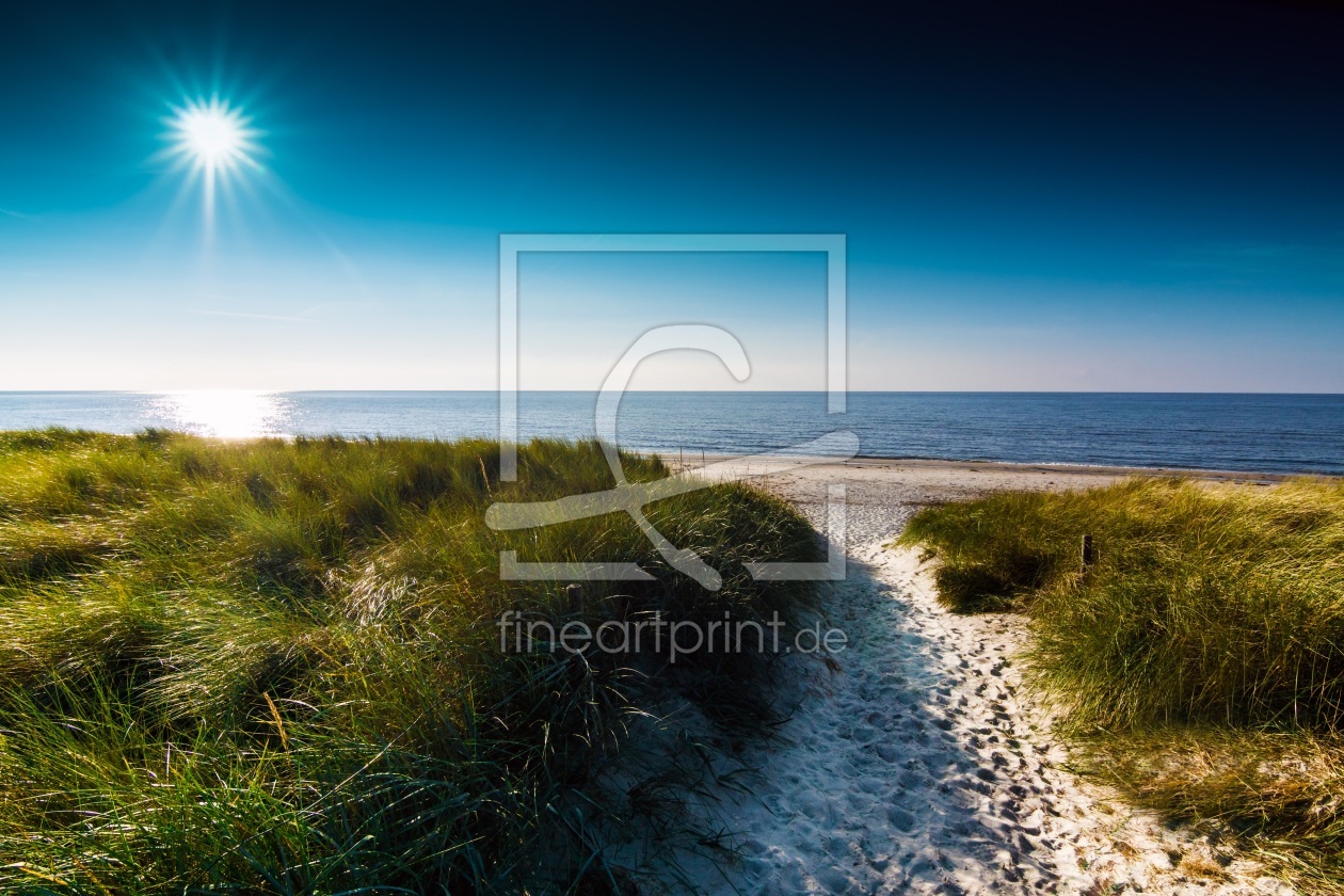 Bild-Nr.: 11526246 Darß - am Weststrand Bild-Nr.: 11526246 Darß - am Weststrand erstellt von Reiner Würz