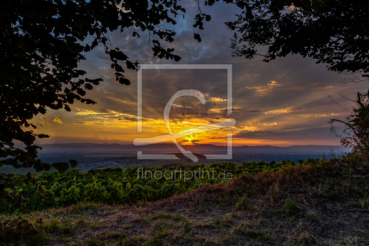 Bild-Nr.: 11526562 Sonnenuntergang am Kaiserstuhl 2 erstellt von Lichtklicker