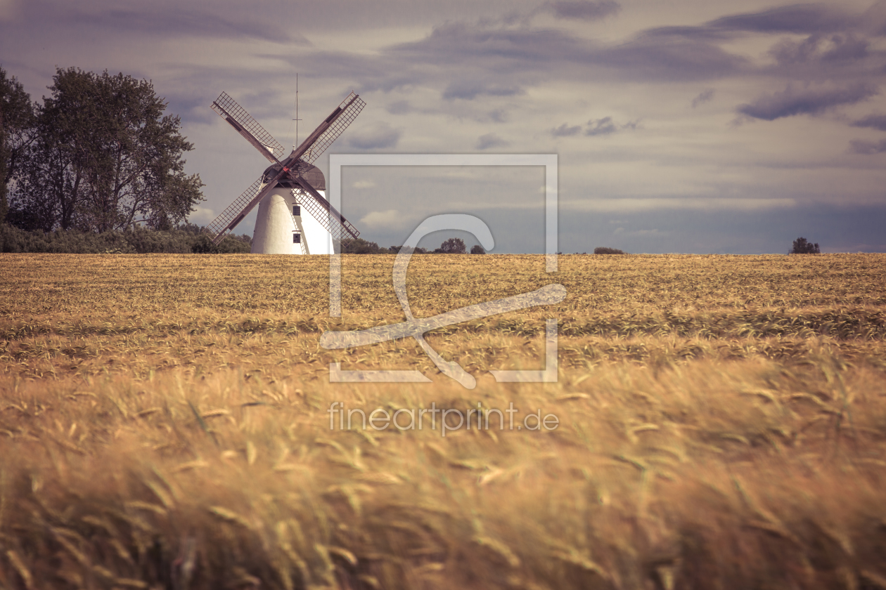 Bild-Nr.: 11527846 Windmühle Im Feld erstellt von SooWhatPhotography